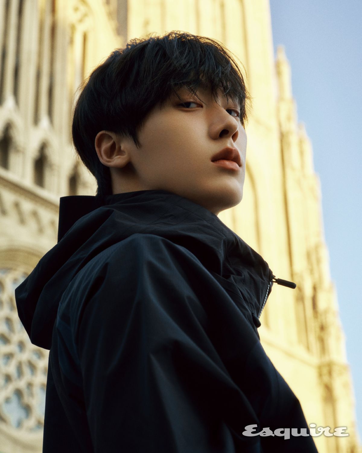 윈드브레이커 엄브로.