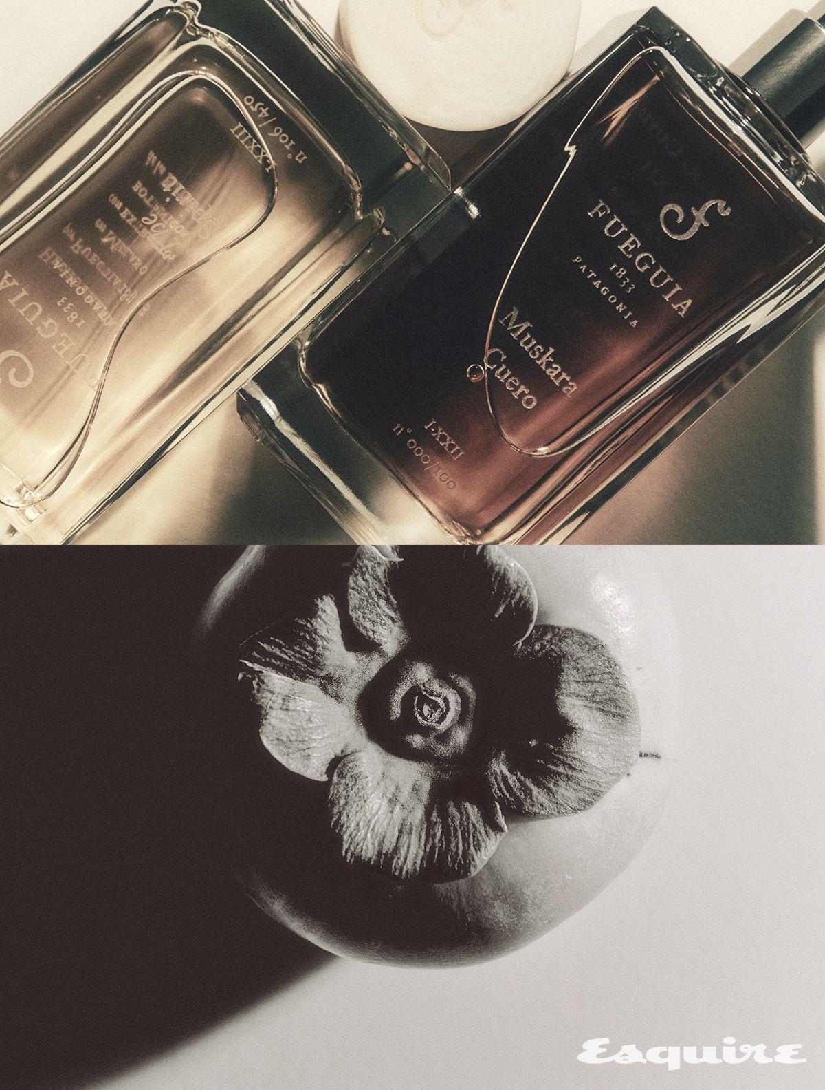 머스크와 페로몬을 조합한 무스카라 페로 제이 100mL/49만원, 레더와 우드의 스모키한 향조를 부각한 무스카라 쿠에로 100mL/68만7000원 모두 푸에기아 1833.