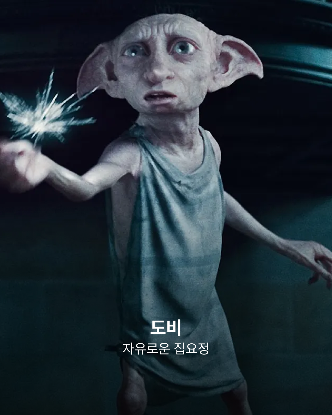 '해리 포터' 도비