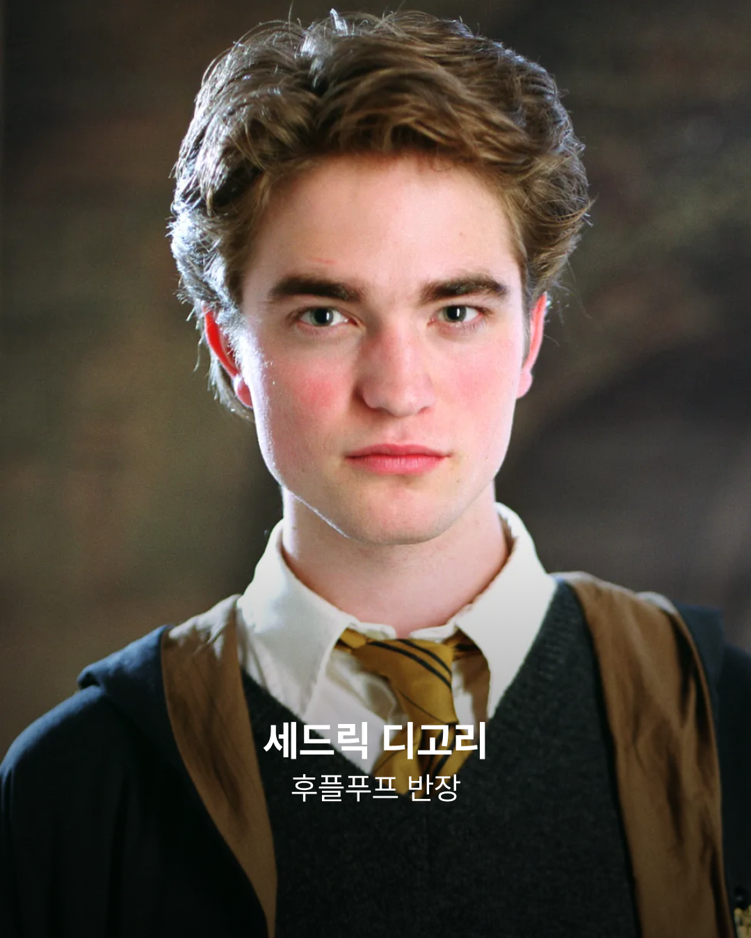 '해리 포터' 세드릭 디고리
