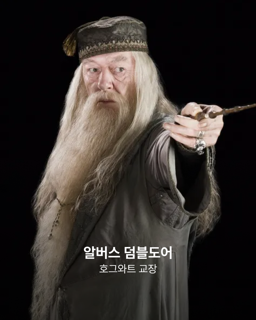 '해리 포터' 알버스 덤블도어