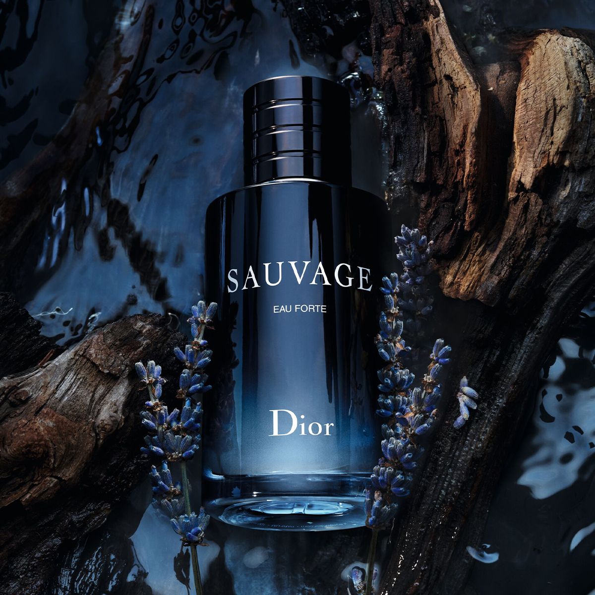 디올 소바쥬 오 포트 60ml 17만2천원대 / 100ml 23만7천원대.