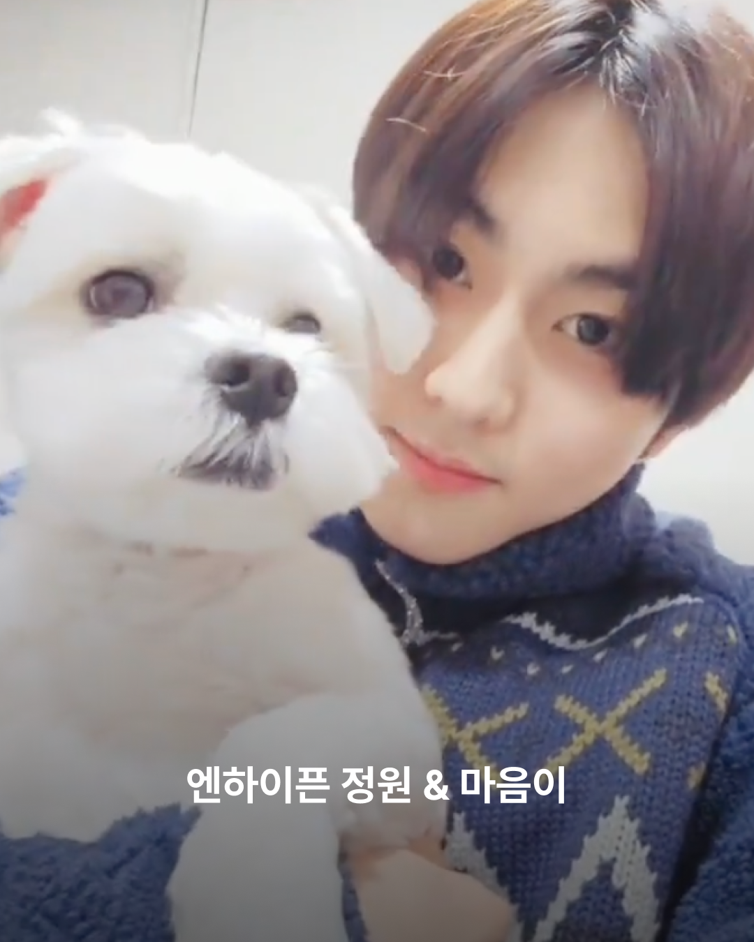 정원과 마음이