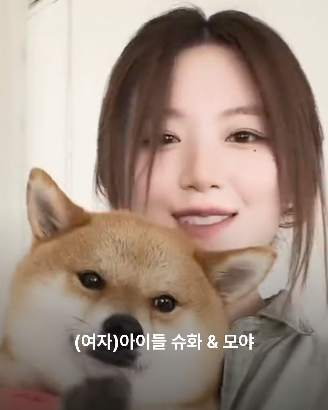슈화와 모야
