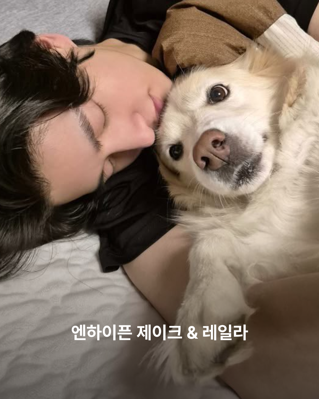 제이크와 레일라