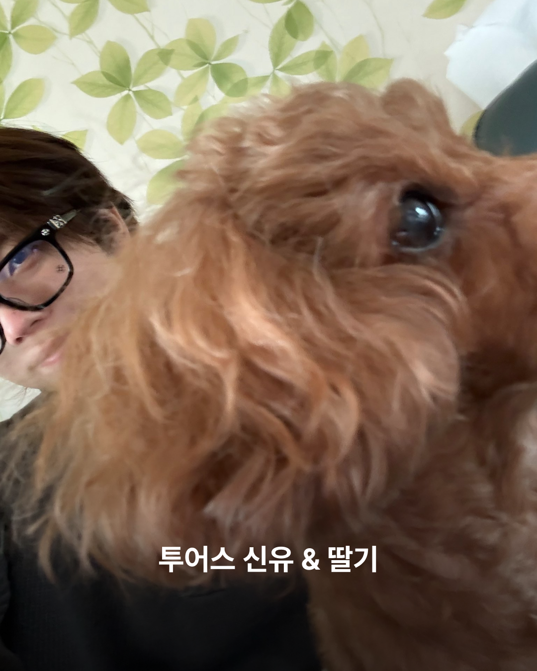 신유와 딸기