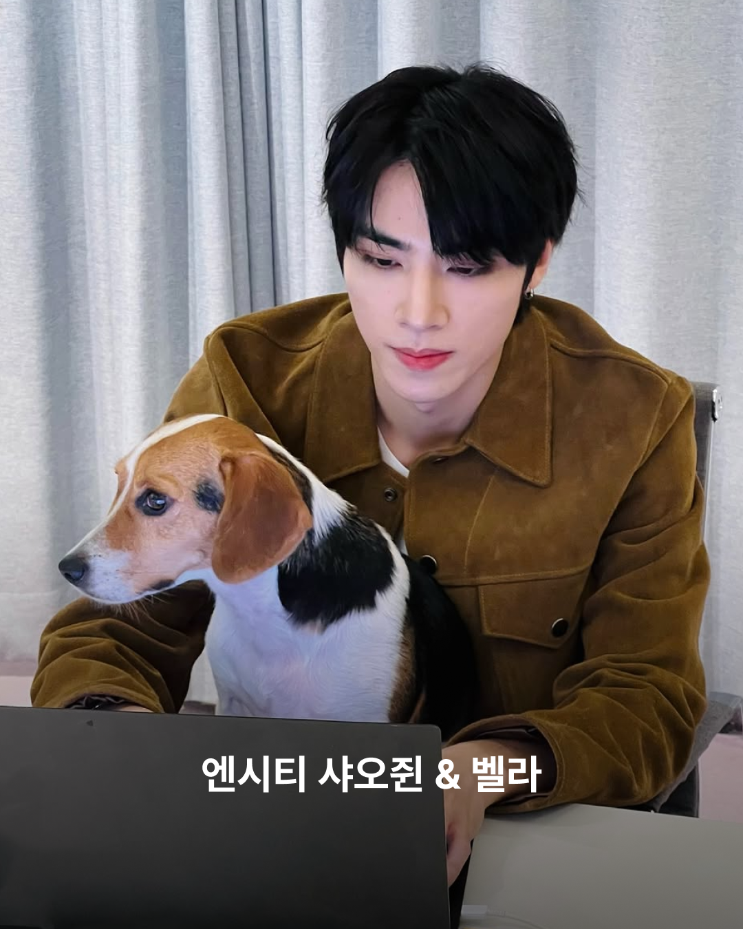샤오쥔과 벨라