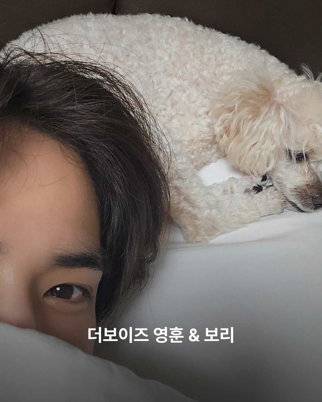 영훈과 보리
