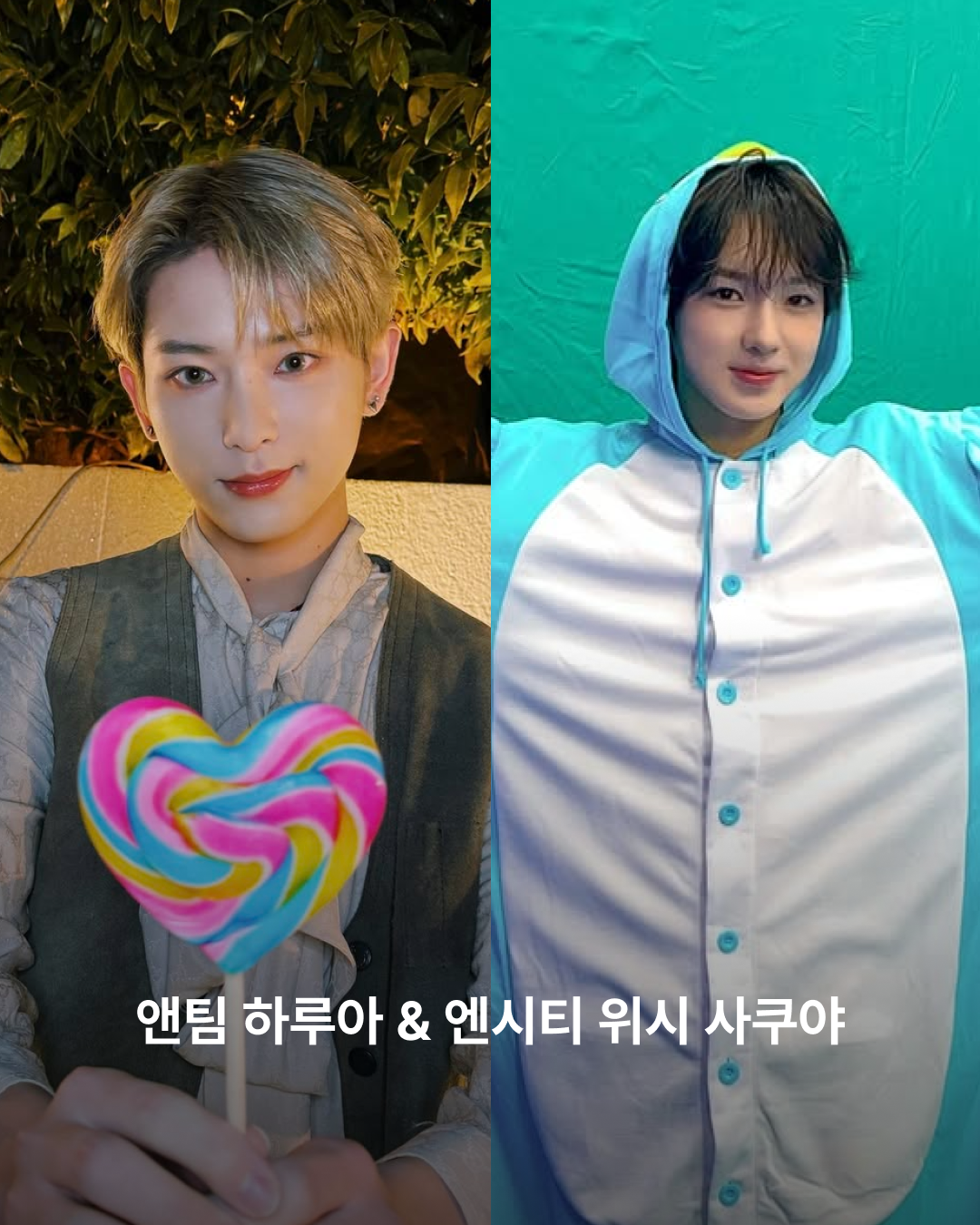 하루아와 사쿠야
