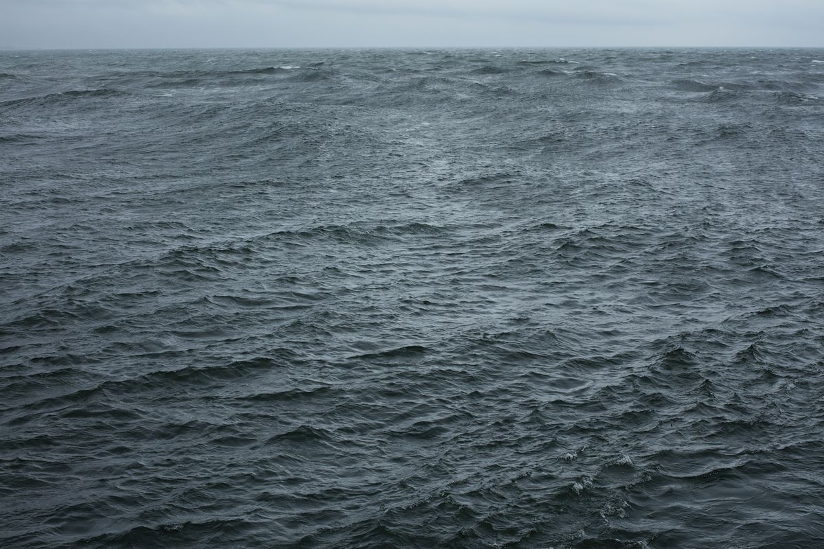 The State We’re In_ A_Courtesy Galerie Buchholz, Galerie Chantal Crousel, Paris, Maureen Paley, London, David Zwirner, New York