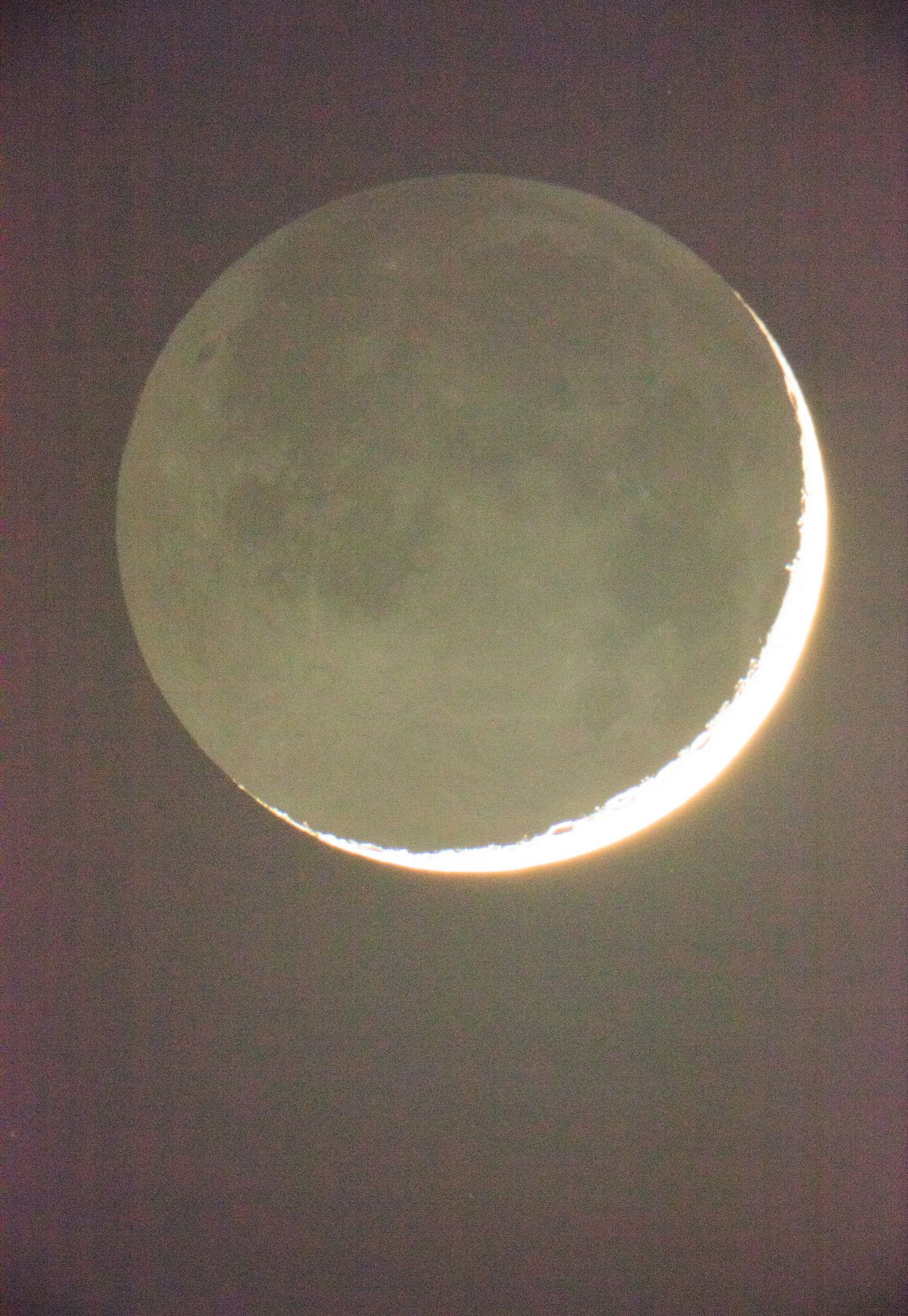 Moon in Earthlight Courtesy Galerie Buchholz, Galerie Chantal Crousel, Paris, Maureen Paley, London, David Zwirner, New York