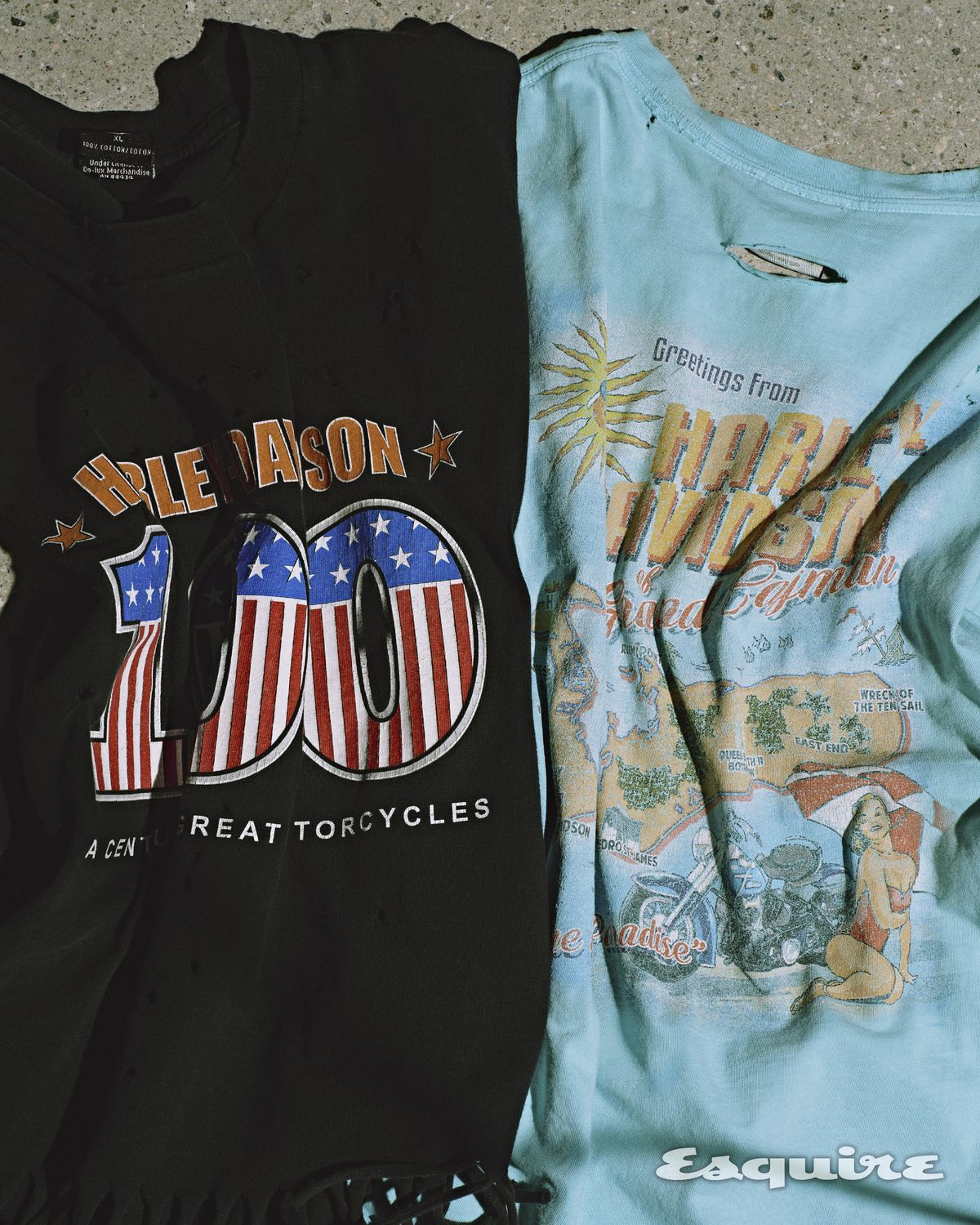 직접 커스터마이징한 할리데이비슨 티셔츠.