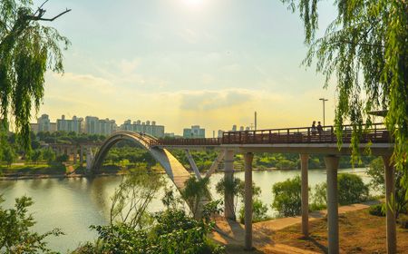 한적하고 조용한 명소, 선유도공원/ 선유도공원 홈페이지