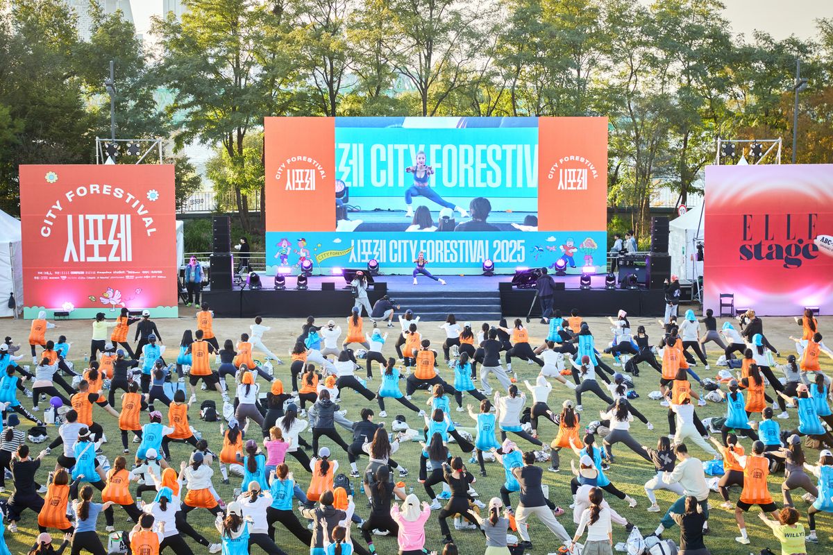 이미지 캡션 영역