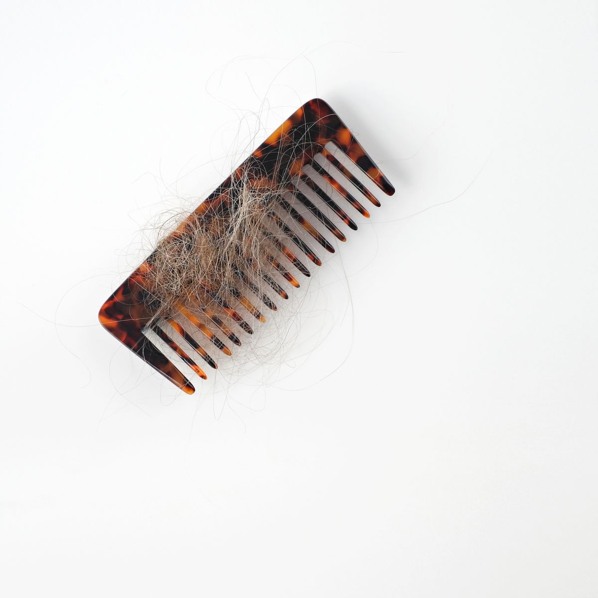 탈모에 좋다는 검은콩과 두부의 진실 / 출처: 언스플래쉬