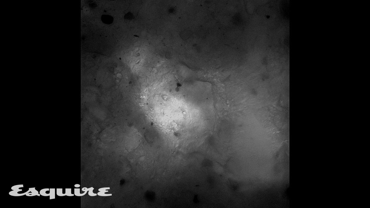 이아람 작가의 작품 '밟힌 벌레마다 별이 된다'(2025)의 캡처 이미지.