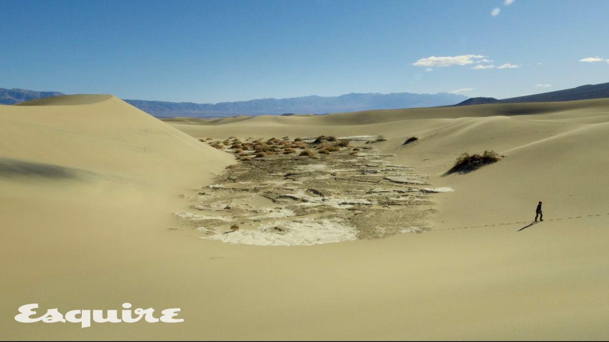 이아람 작가의 작품 '밟힌 벌레마다 별이 된다'(2025)의 캡처 이미지. 