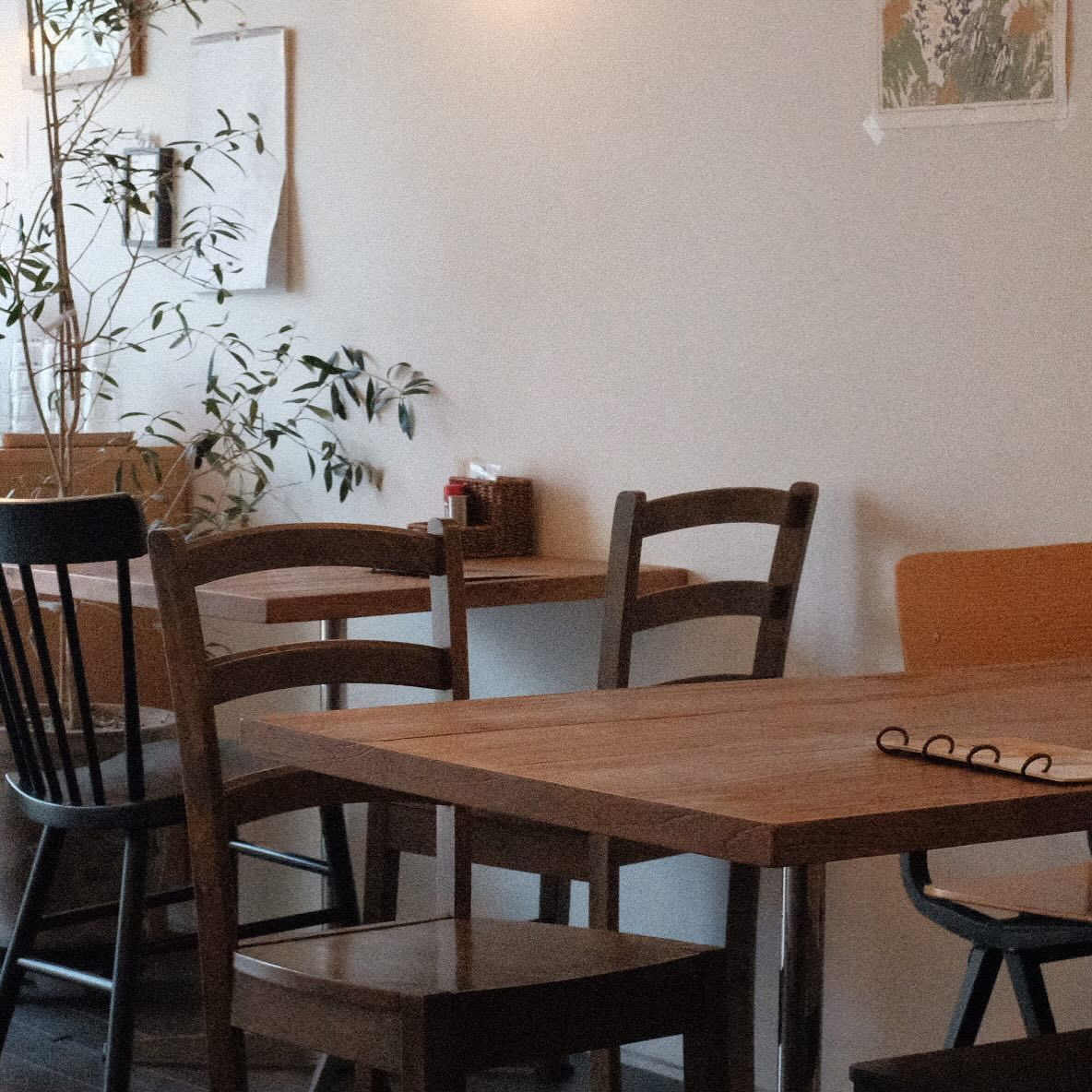 아늑한 가게 내부 / 이미지 출처 : 인스타그램 @karez_curryhouse