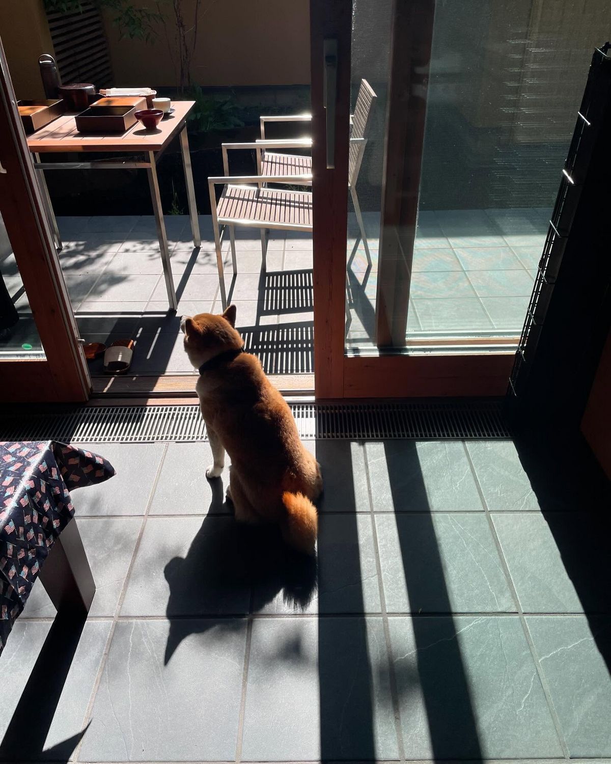 진하고 고소한 라떼가 이곳을 찾게 만드는 확실한 시그니처다. / 이미지 출처 : 구글 맵 bearpondespresso / 인스타그램 @angelstain