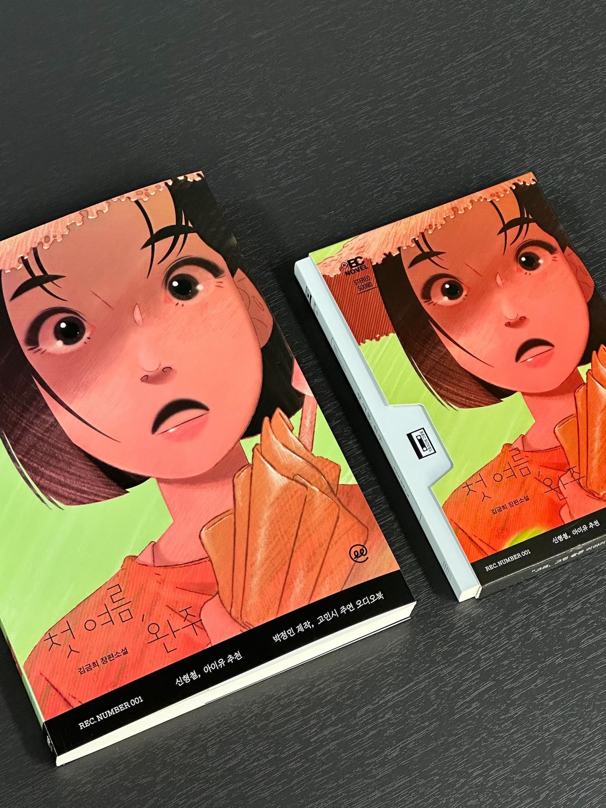 큰글자책 EasyPage 브랜드로 출간된 <첫 여름, 완주>. / 이미지 출처 : 인스타그램 @booksmuze 