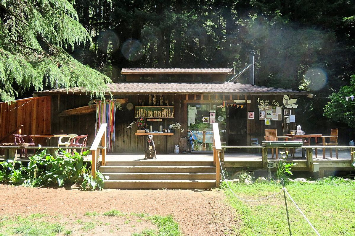 헨리 밀러 메모리얼 도서관의 전경이다. / 출처: 위키피디아