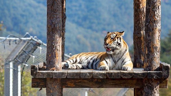 설 연휴에 방문하기 좋은 