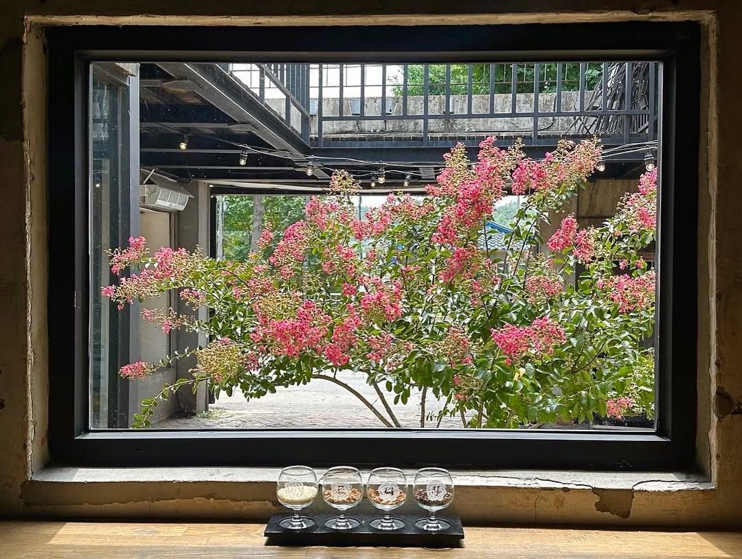 버드나무 브루어리 내부에는 큰 창이 많아 정원이 한눈에 보인다. / 이미지출처: 버드나무 브루어리 공식 인스타그램 계정