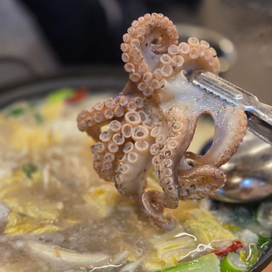 된장 베이스에 조개와 함께 우려낸 활쭈꾸미 샤브샤브를 즐길 수 있다. / 이미지 출처: 네이버 지도 업체 제공