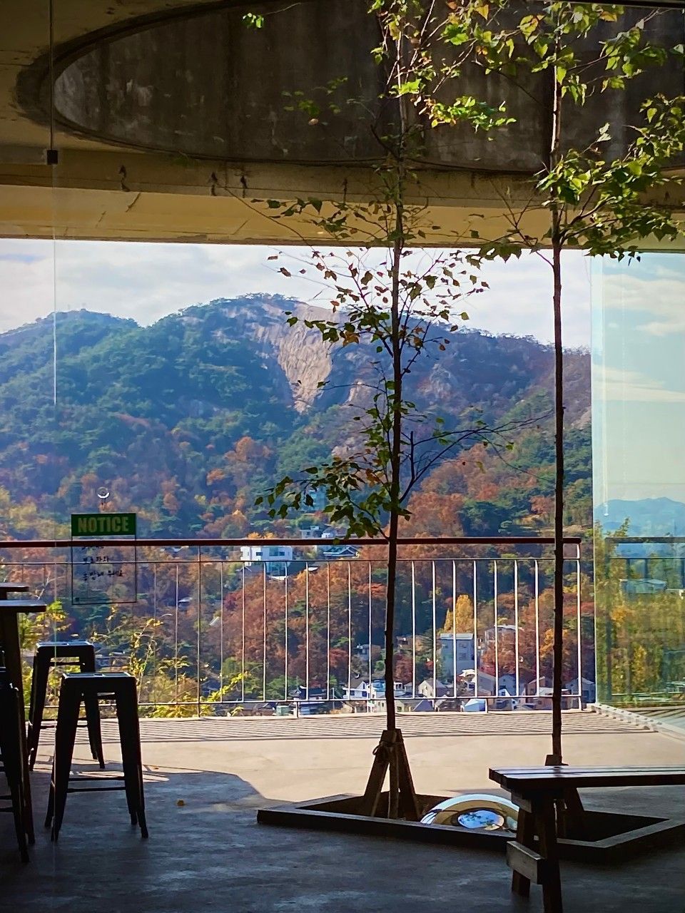 날씨가 좋은 날 테라스석에 앉아 자연을 바라보는 것을 추천한다. / 출처: 희작 네이버 지도 업체 등록