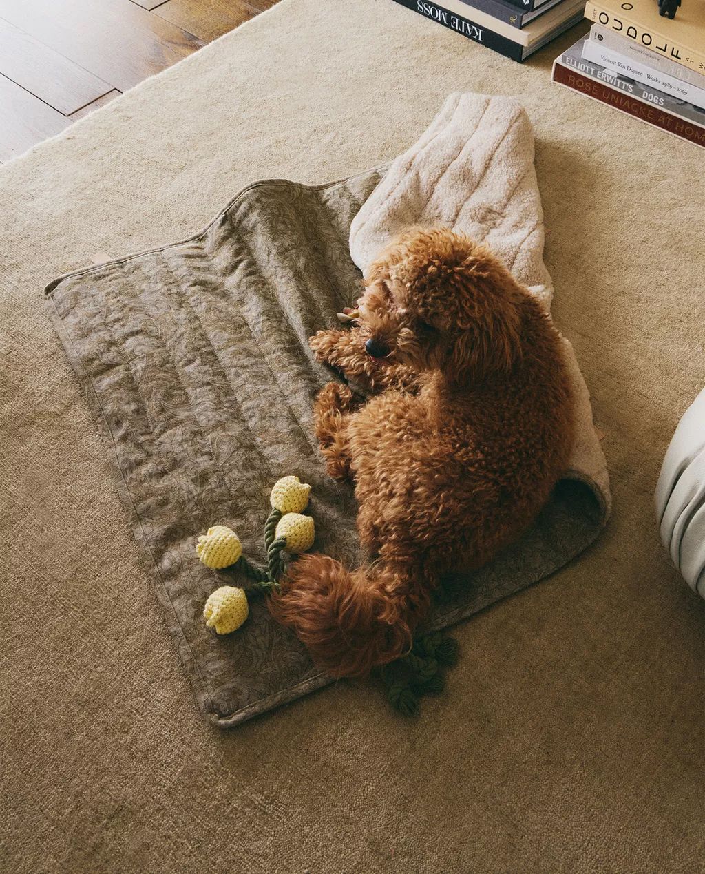 자라에서 선보인 펫 블랭킷 / 이미지 출처: ZARA HOME