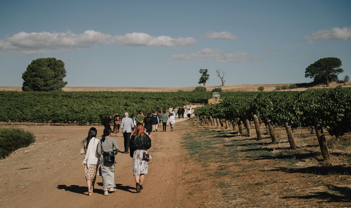 약 마흔 명의 기자와 크리에이터들이 각자가 원하는 호주를 탐험하고 그 이야기를 나누기 위해 바로사 밸리의 원더그라운드 갤러리 앤드 미러스 빈야드의 에스테이트에 모였다. 