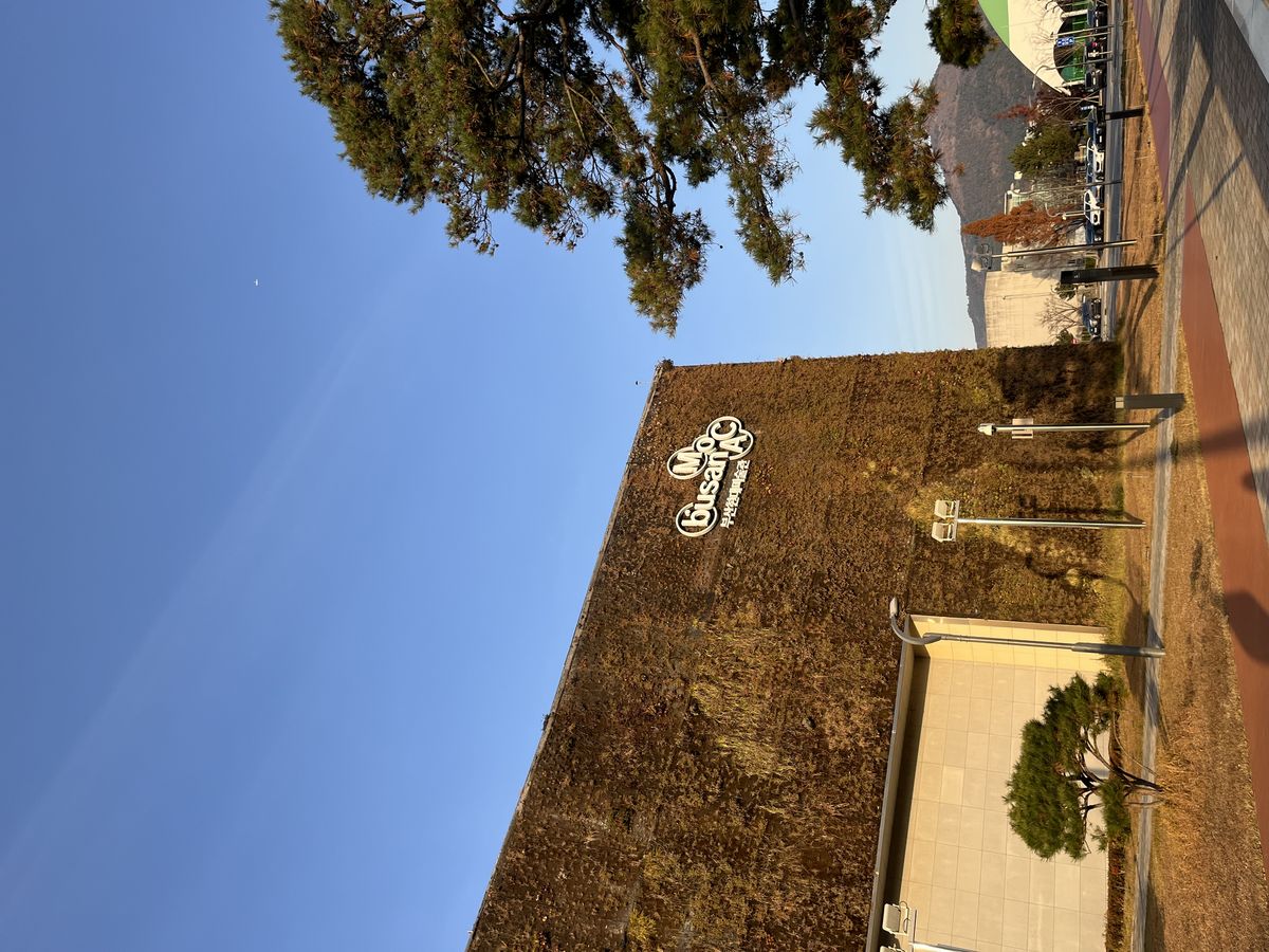 부산 사하구 인근에 위치한 전시공간과 풍경 / 이미지 출처: 필자 촬영