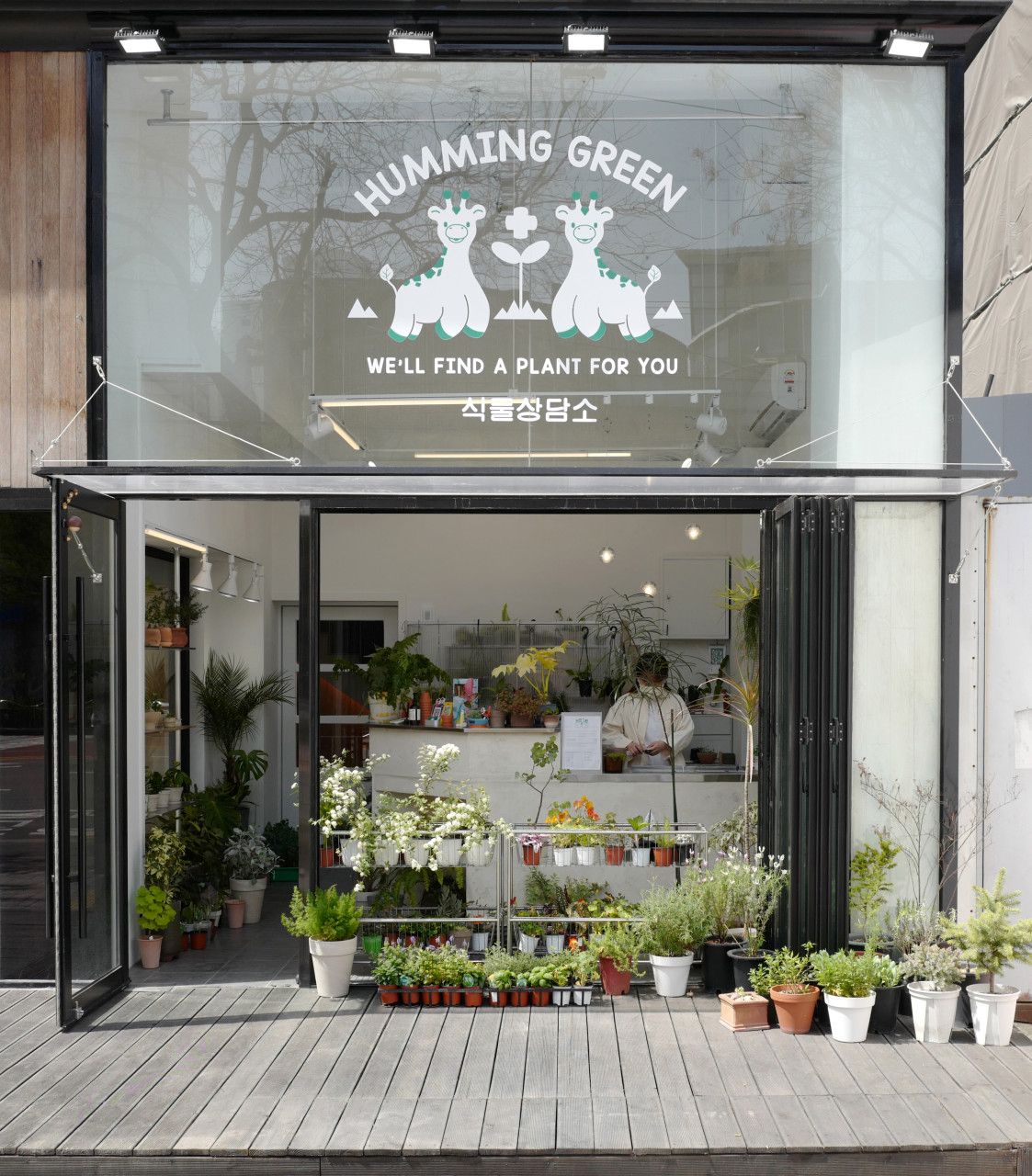 입원 중인 식물들이 가득하다. / 출처: 네이버지도 업체 제공