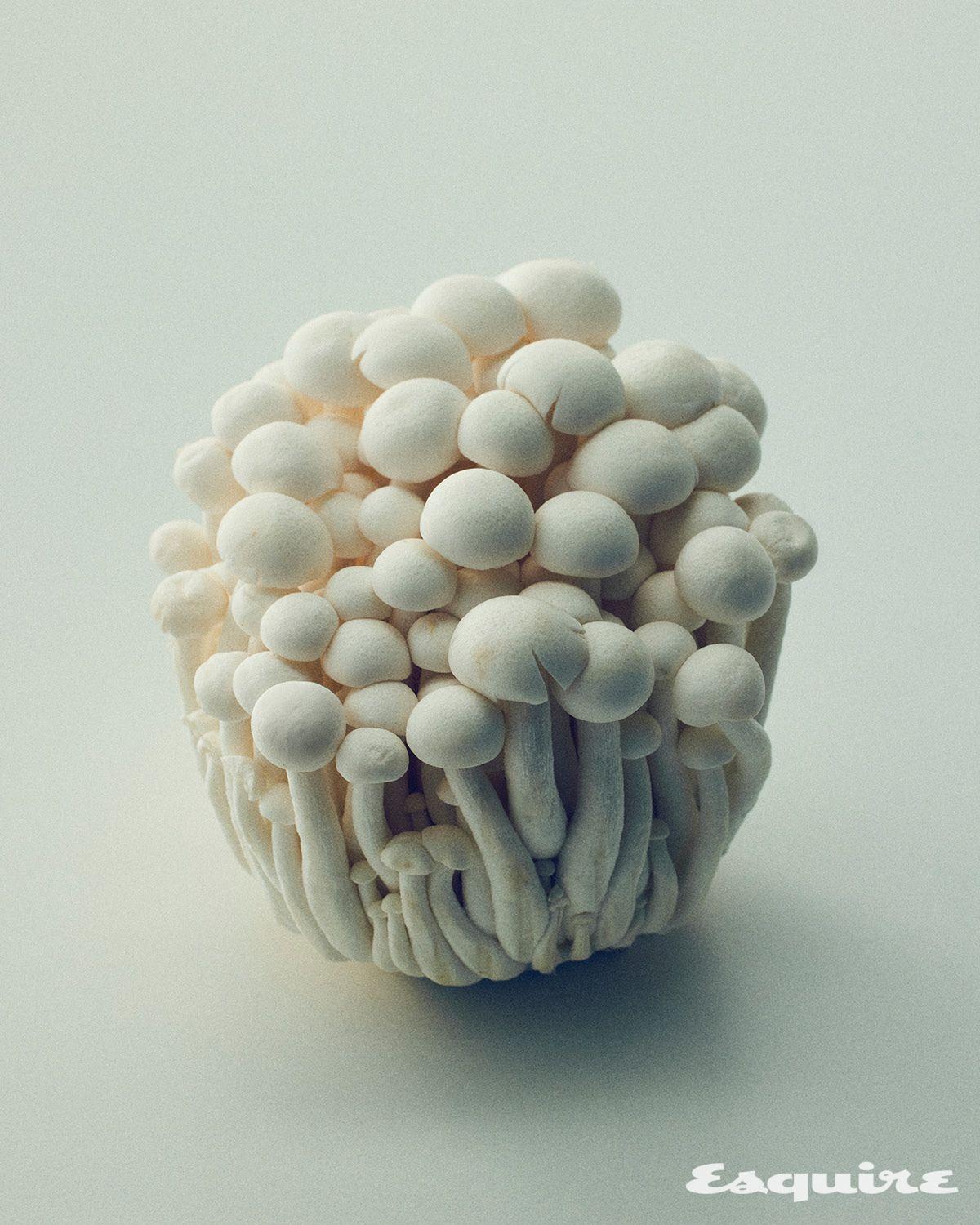 만가닥버섯은 간 해독과 면역력 증진에 탁월하다. 건강한 채소 섭취는 체내 독소를 배출하고 영양을 공급해 신체 균형을 돕는다.