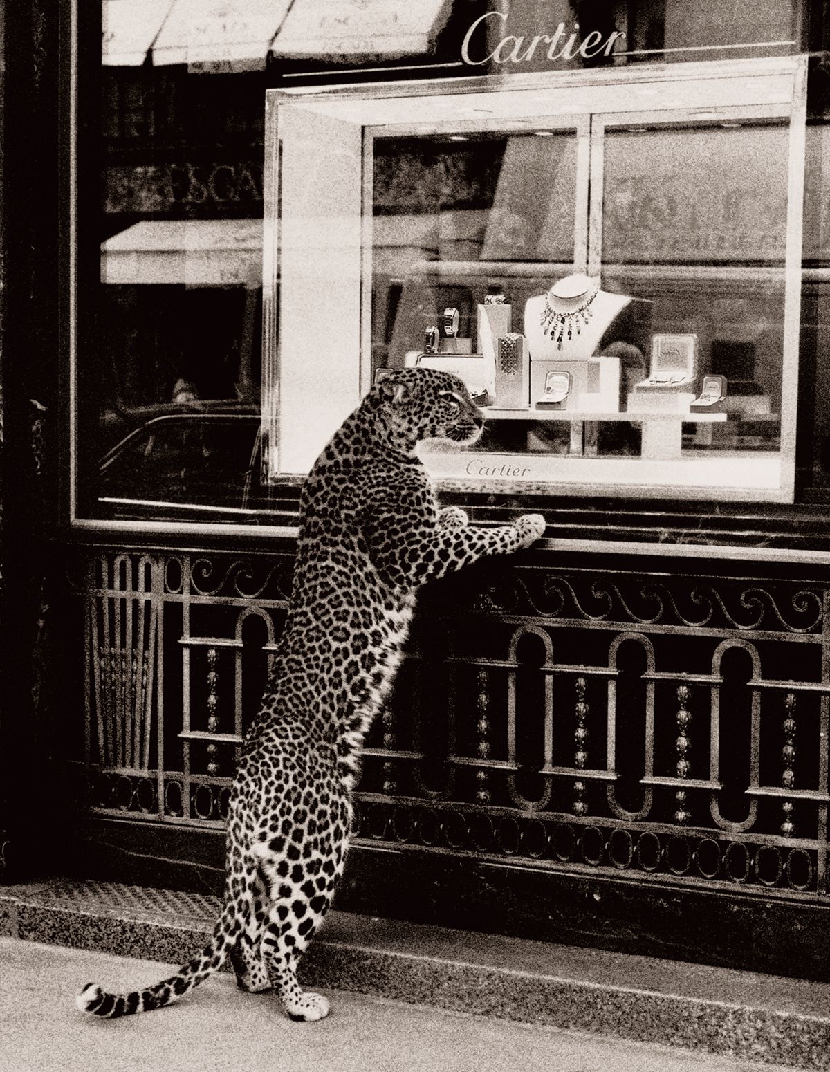 Jean Larivière pour Egoïste © Cartier