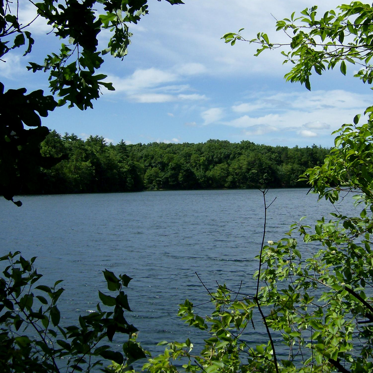 월든 호수, 매사추세츠 / 이미지 출처: 위키미디어