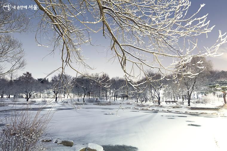 겨울 서울숲 / 이미지 출처: 서울시청
