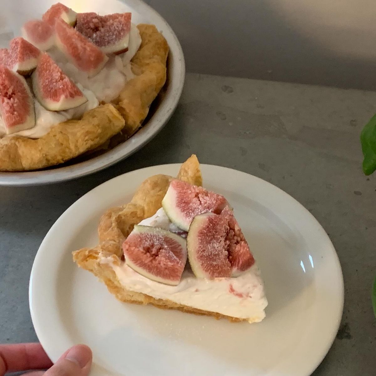 주택가에 오붓하게 자리하고 있는 고양시 브런치 카페. 이미지 출처 : 인스타그램@tudobem_ilsan