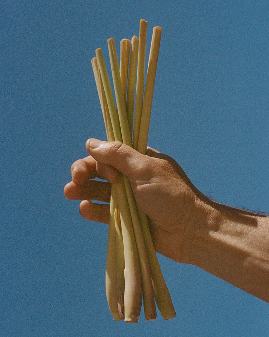 라 브루켓의 레몬그라스 샴푸 / 이미지 출처: 라 부르켓