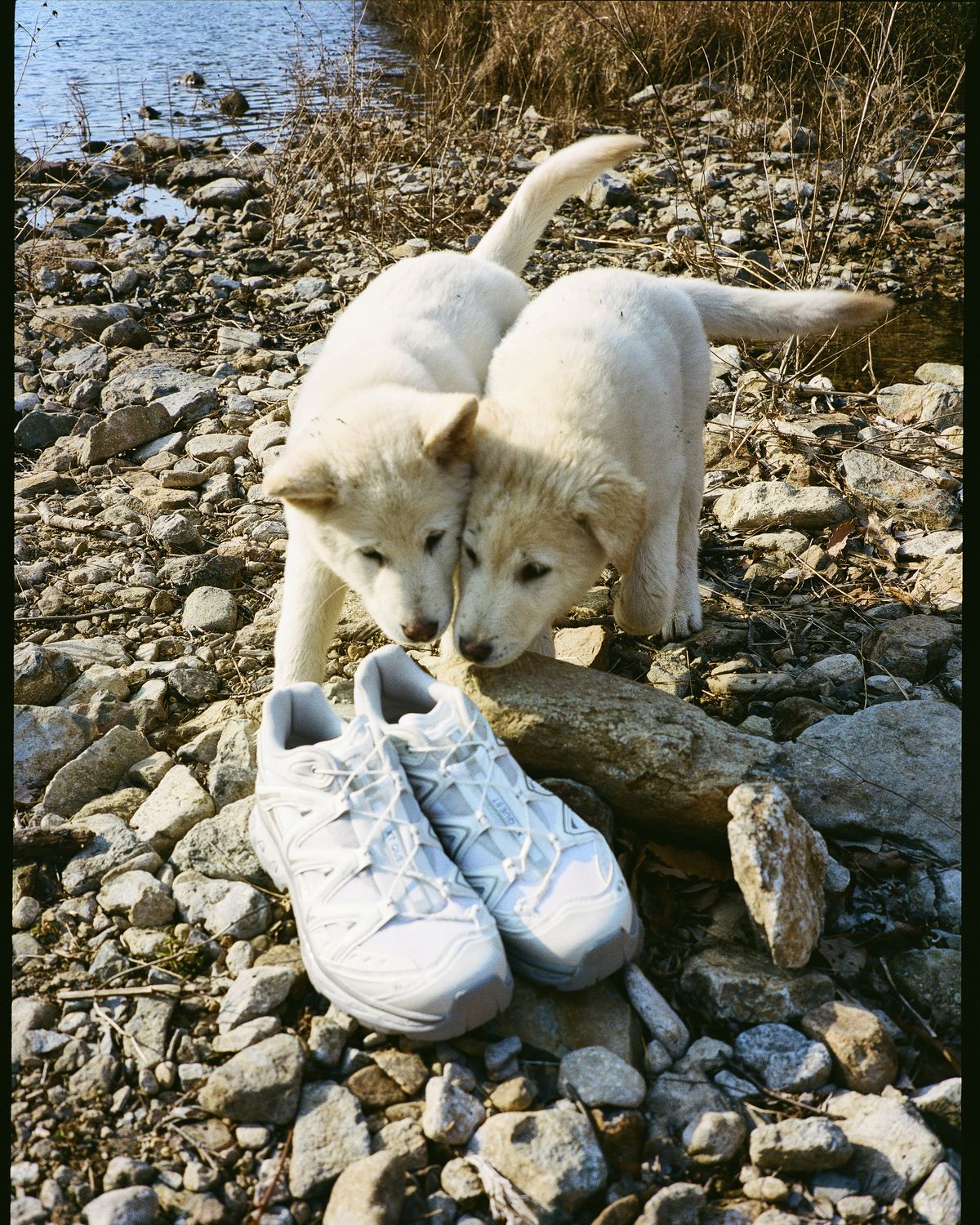 살로몬 진도 컬렉션 / 이미지 출처: 살로몬 