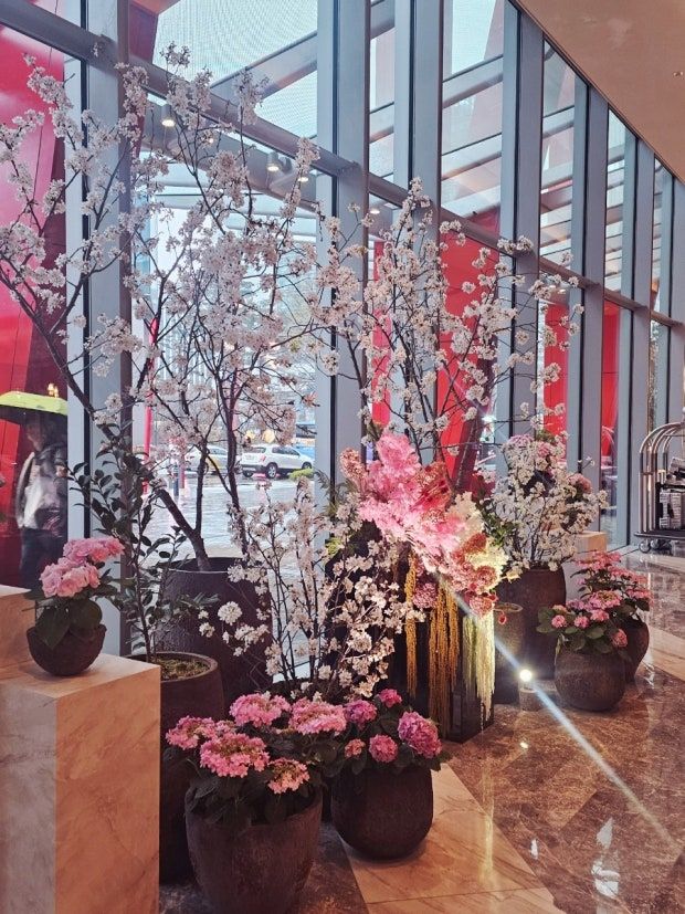 페어몬트 앰버서더 호텔 내 와인바의 벚꽃 인테리어 모습. 페어몬트 주변으로 벚꽃 길이 이어진다. / 이미지 출처: @개복치의 일상생활