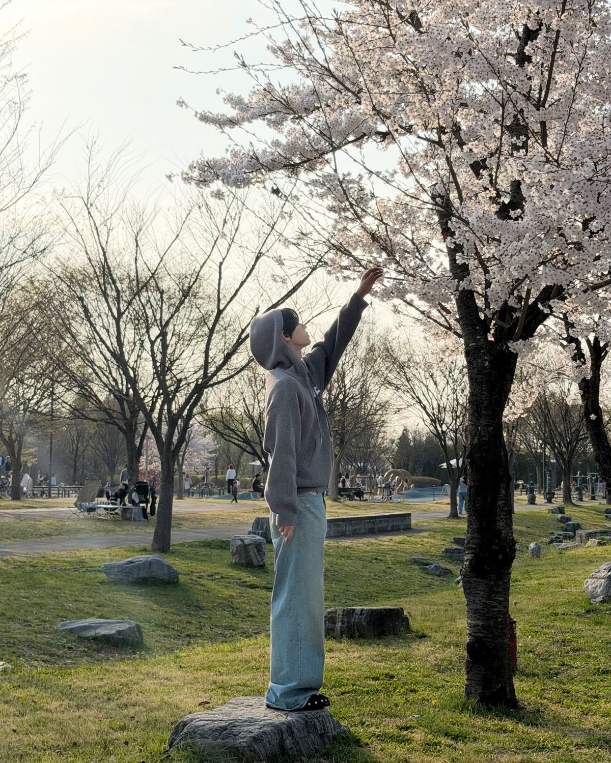 한강에서 벚꽃 구경을 하는 투어스 도훈 / 이미지 출처: 투어스 인스타그램