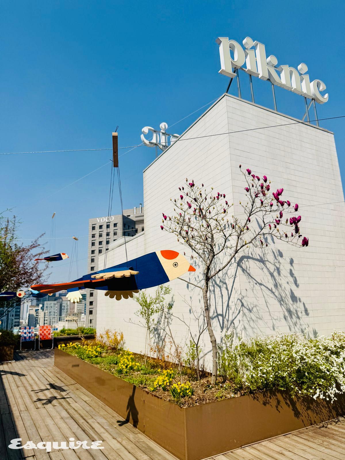 피크닉 옥상에는 새들이 날아다니고 있다. 