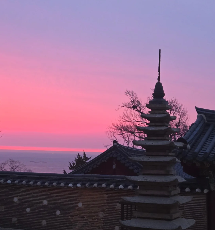 담 넘어로 보이는 동해 바다에 가슴이 뻥 뚫린다. / 출처: 낙산사 인스타그램