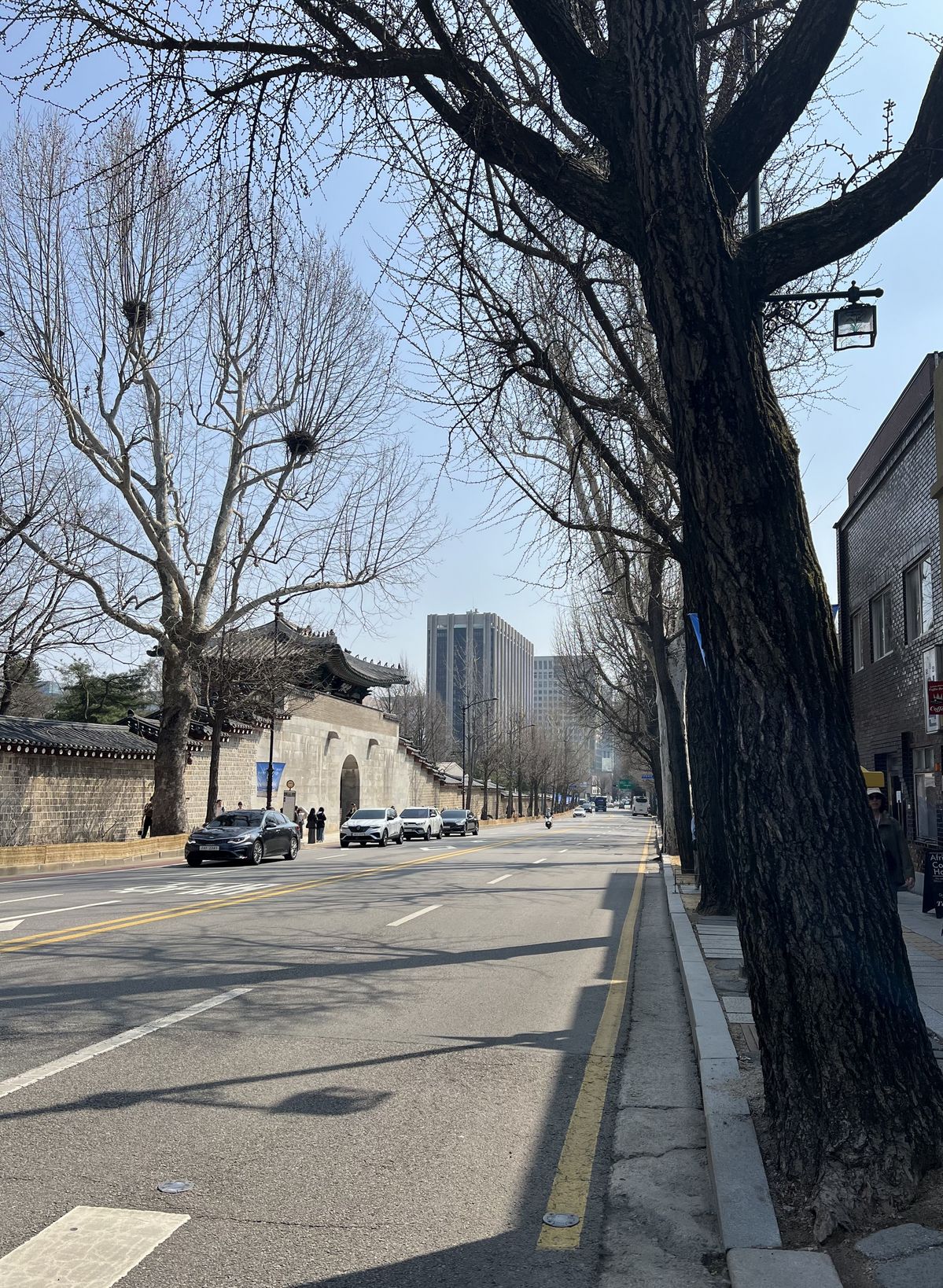 경복궁 거리 / 이미지 출처: 필자 촬영