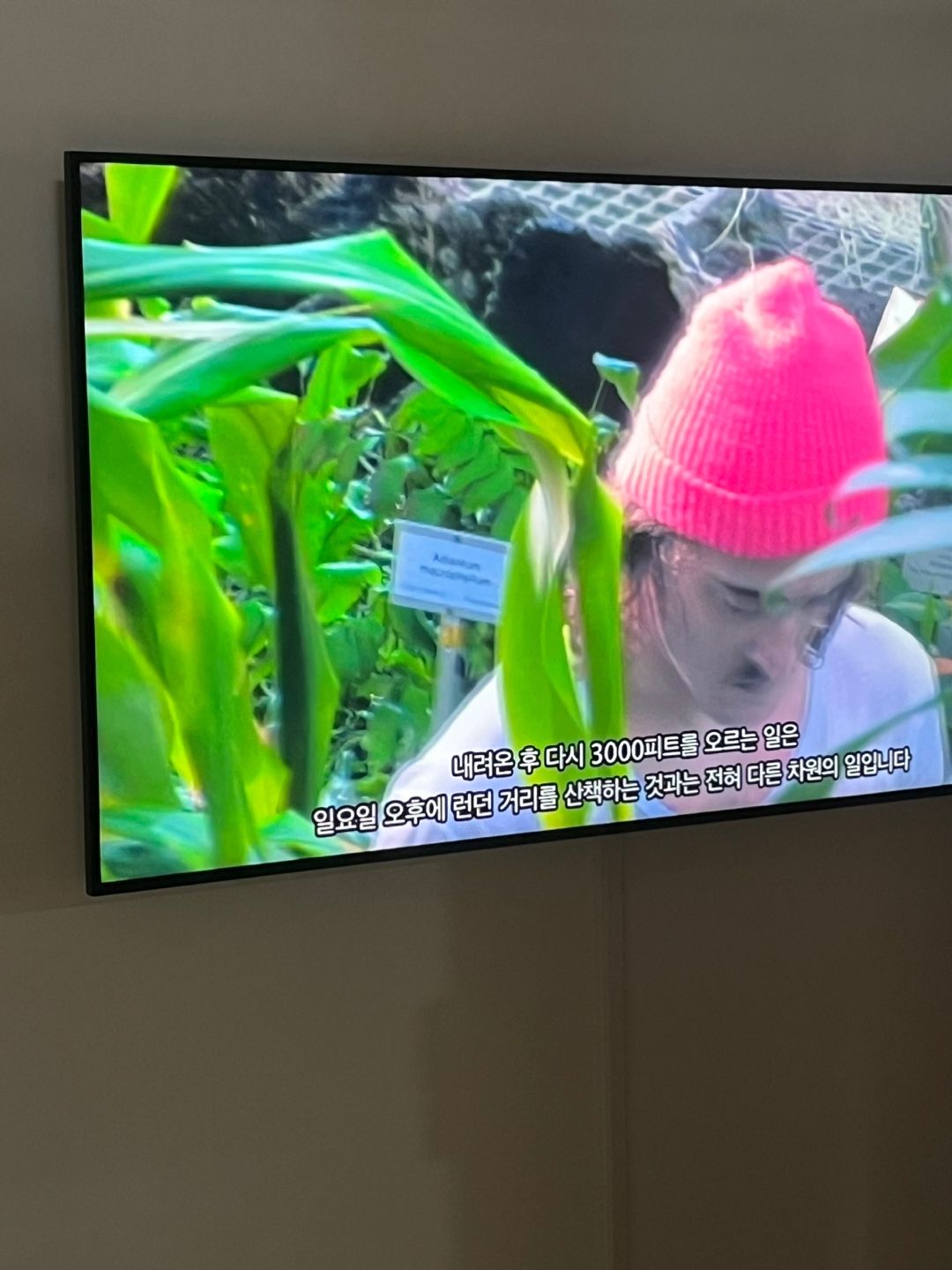 <맞고도 틀린 --- Right Now, Wrong Then> 전시 전경 / 이미지 출처: 필자 촬영