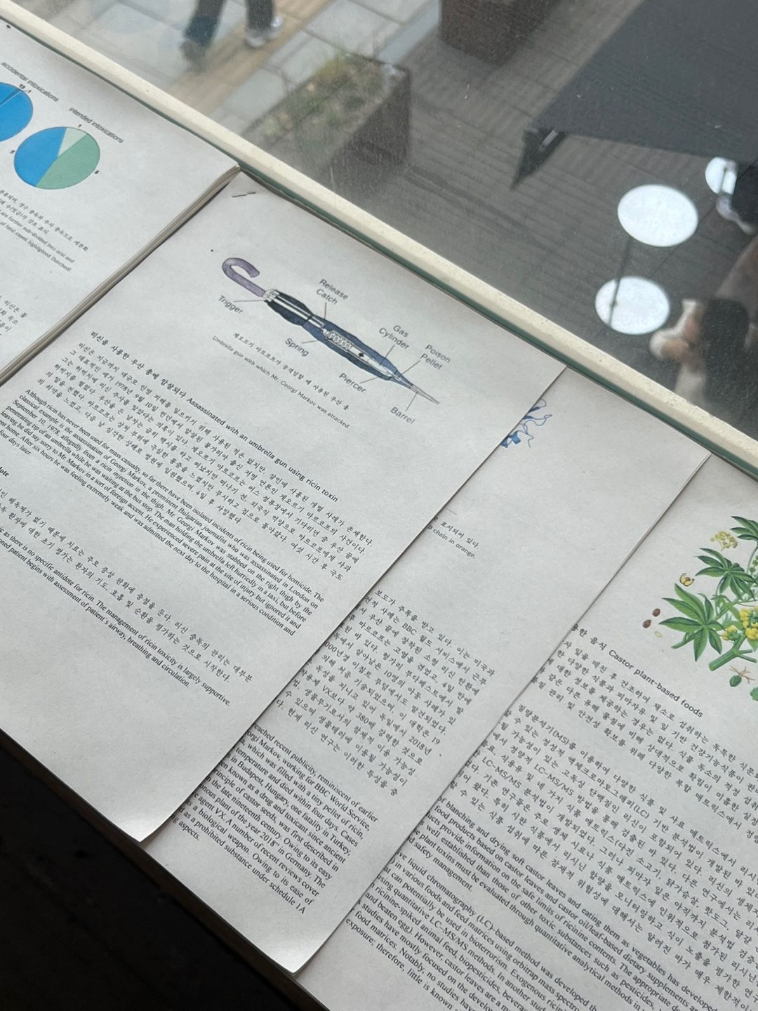 <맞고도 틀린 --- Right Now, Wrong Then> 전시 전경 / 이미지 출처: 필자 촬영