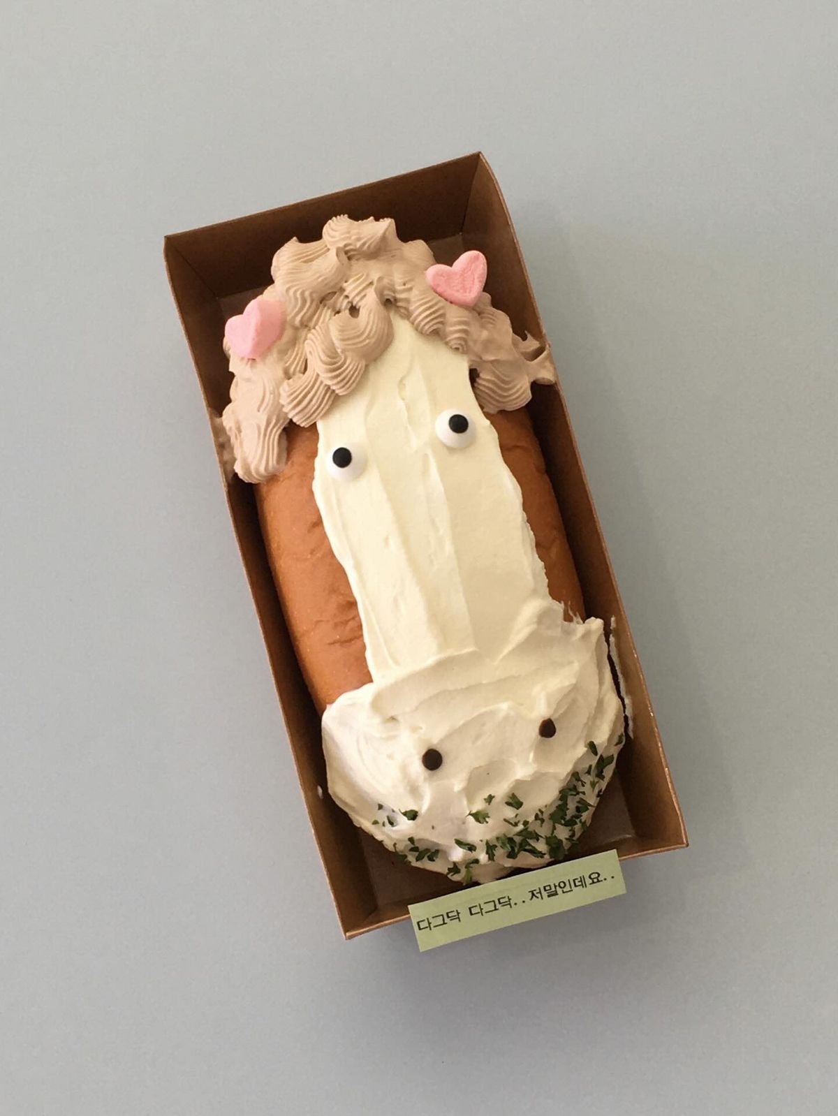 이미지 출처 / 썬빔 진주 