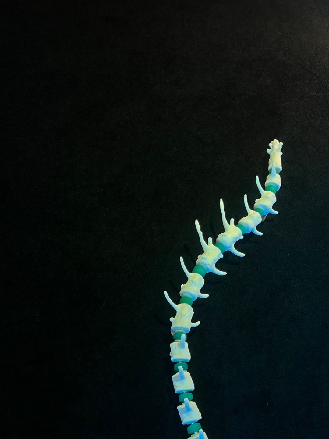 <최적의 지연> 전시 전경 / 이미지 출처: 필자 촬영