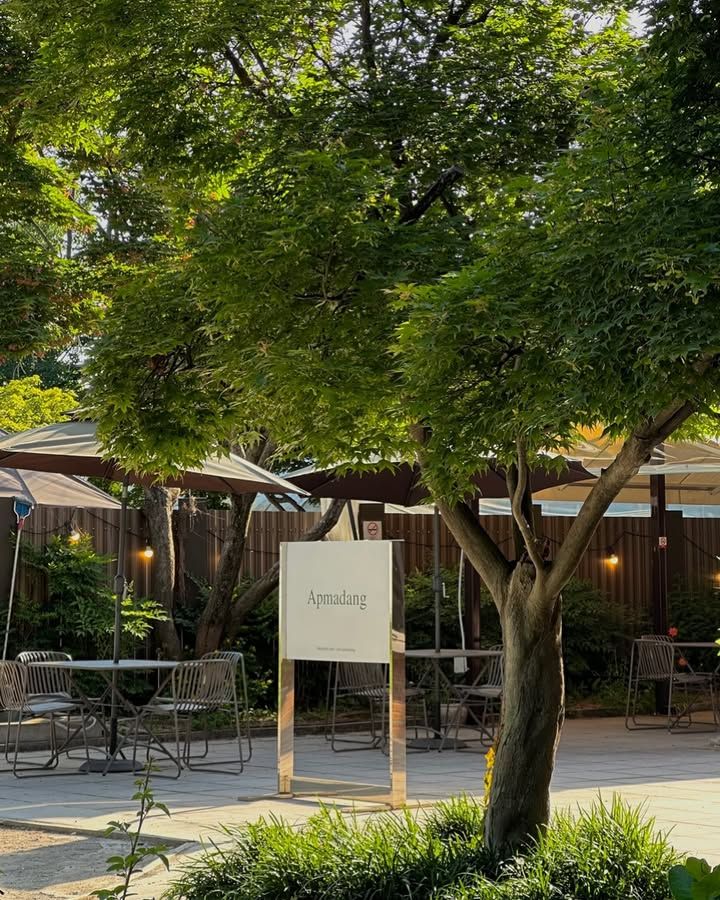 실내외 모두 여유를 위한 공간이 마련된 카페 앞마당. 이미지 출처: 네이버 지도 업체 제공 / 인스타그램 @jungys3160